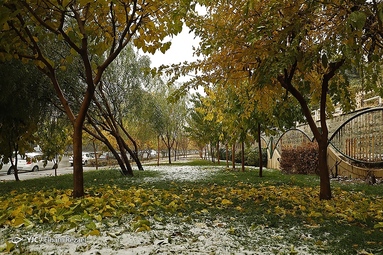 پاییز برفی پایتخت در قاب تصویر
