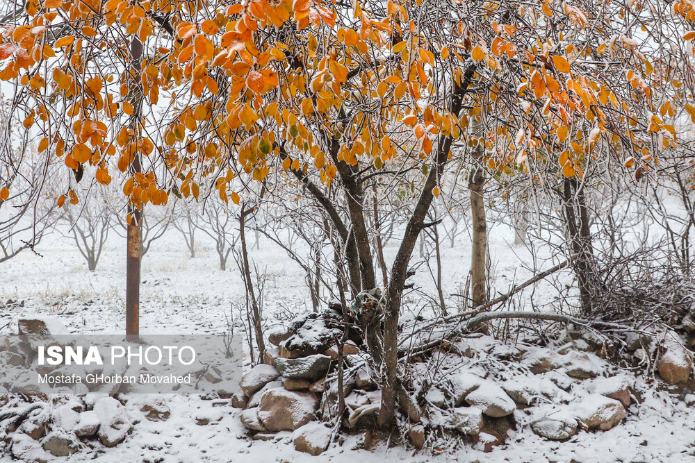 طبیعت زیبای مناطق گردشگری شهرستان اهر