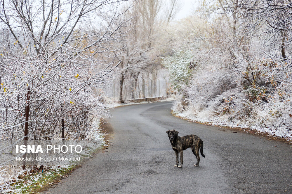 طبیعت زیبای مناطق گردشگری شهرستان اهر