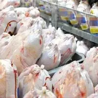 درخواست تولیدکنندگان مرغ از مردم؛ با ذخیره خانگی به تنظیم بازار کمک کنید