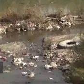 رهاسازی مواد آلوده نفتی و شیمیایی در کنار رودخانه دورود