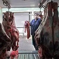 اتحادیه دام سبک: قیمت گوشت قرمز در بازار نباید بیشتر از ۲۰۰ هزار تومان باشد