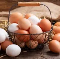 عواقب مصرف بیش از حد تخم‌مرغ