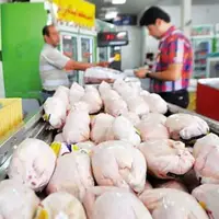 درخواست اتحادیه مرغداران از مردم برای ذخیره‌سازی مرغ