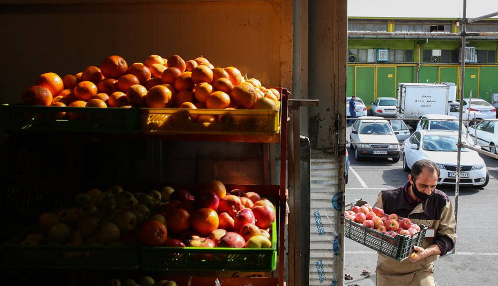 قیمت انواع میوه در بازار میوه و تره‌بار تهران
