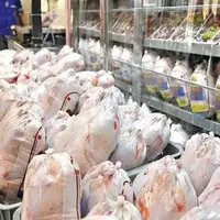 قیمت مرغ در خراسان شمالی باز هم فروکش کرد
