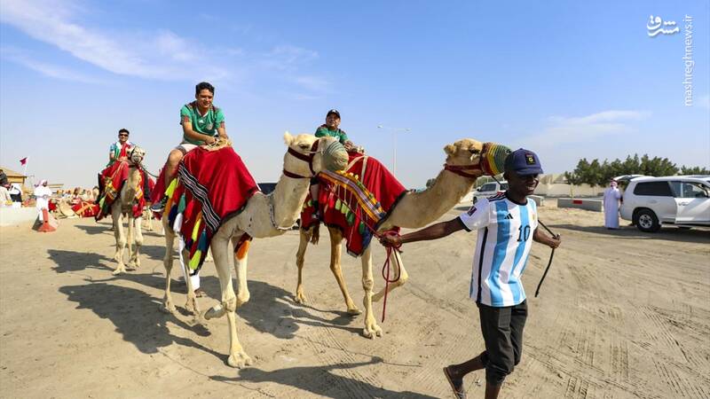گردشگران جام جهانی در سافاری صحرا