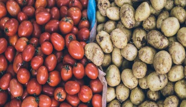تولید داروی سرطان از گوجه فرنگی و سیب زمینی