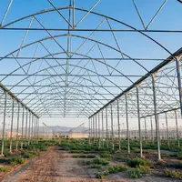 برنامه‌ریزی برای بهره‌برداری از ۶۰۰ هکتار گلخانه در استان اردبیل