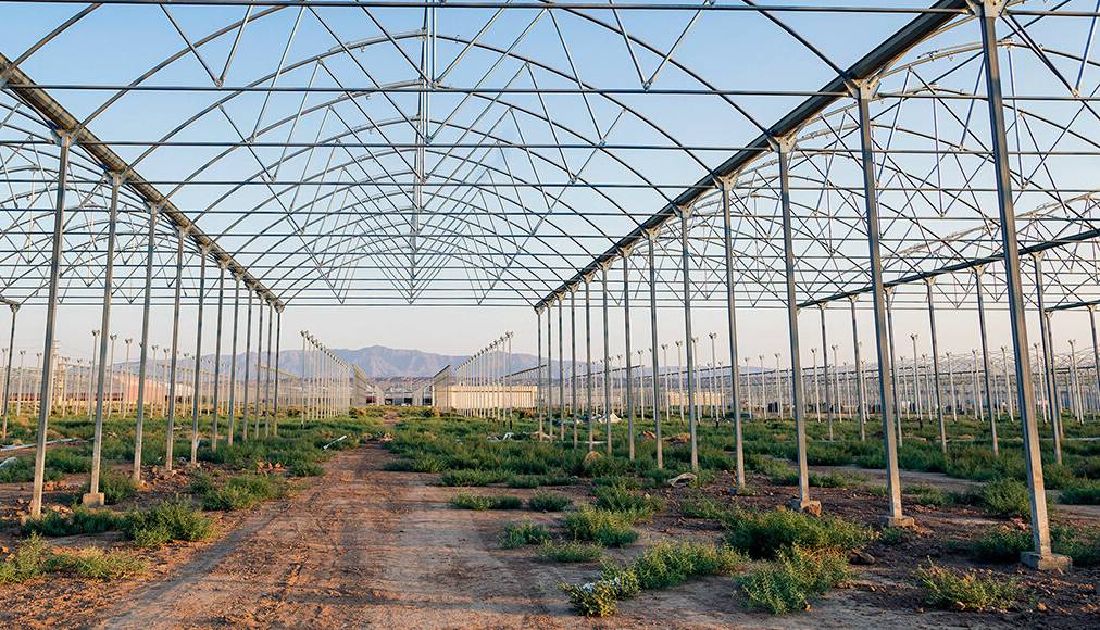 برنامه‌ریزی برای بهره‌برداری از ۶۰۰ هکتار گلخانه در استان اردبیل