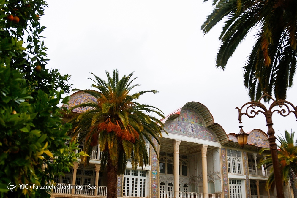  نارنج چینی در باغ ارم شیراز