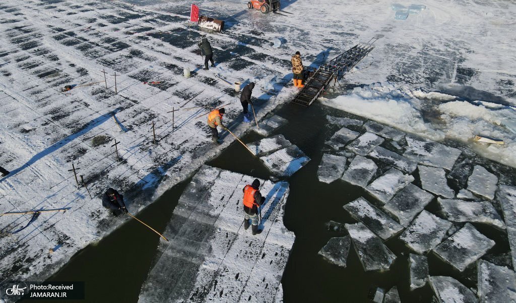 تصویری از کارگرانی که مکعب های یخ را جمع آوری می کنند