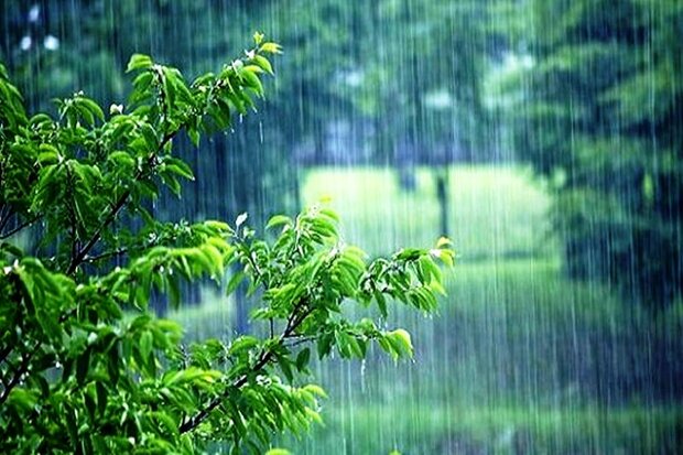 کاهش ۳۰ درصدی بارش‌ها در کرمانشاه نسبت به سال گذشته