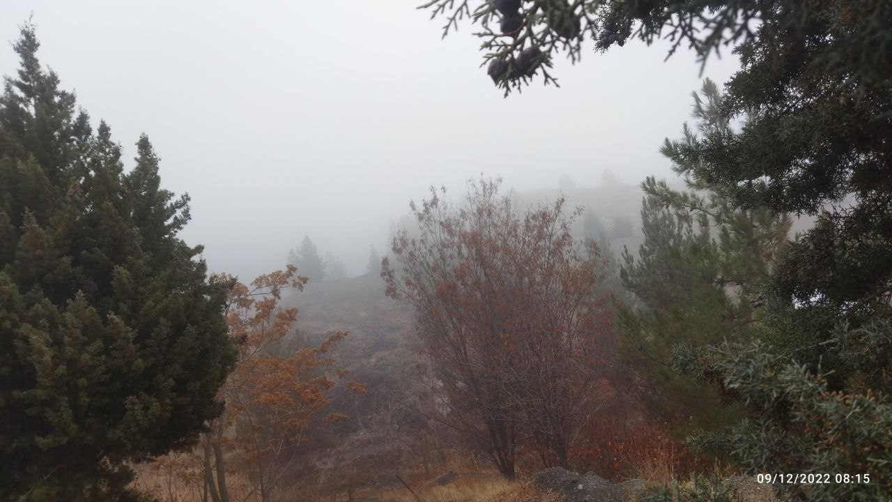 مه غلیظ در ارتفاعات «زو» و شهر مشهد 