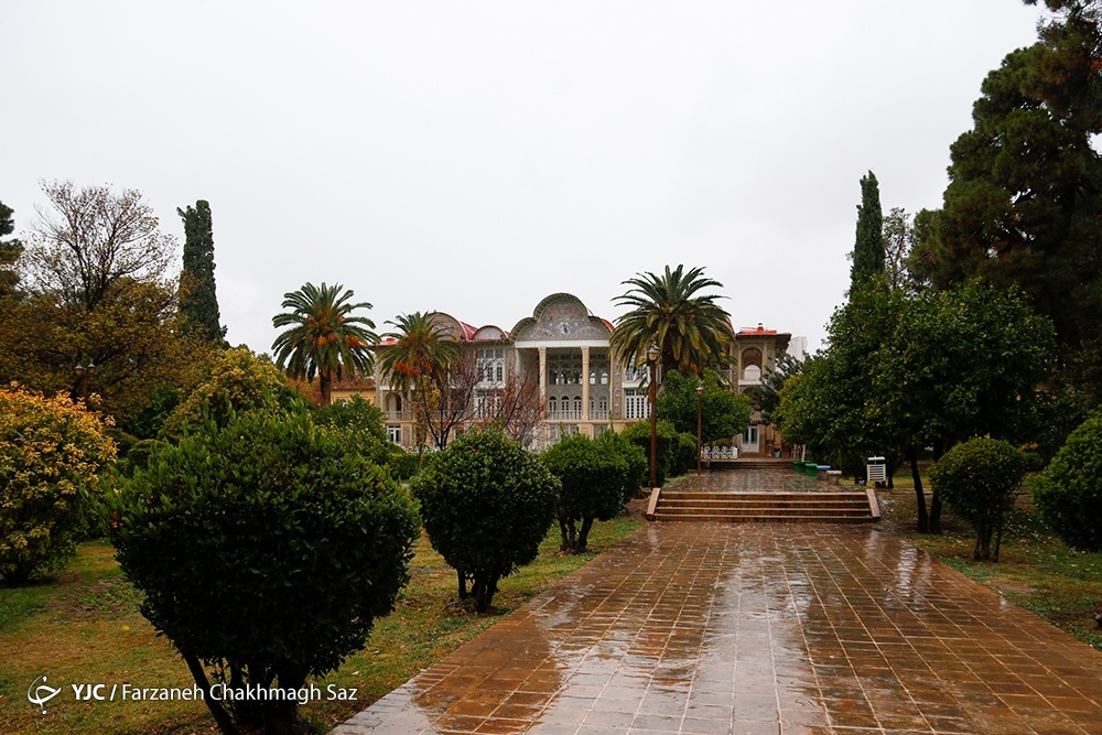  نارنج چینی در باغ ارم شیراز