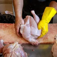 کاهش ۱۳ هزار تومانی قیمت مرغ در بازار خوزستان