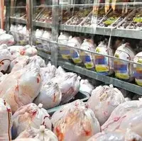 افزایش ۳۵ درصدی عرضه مرغ در تهران
