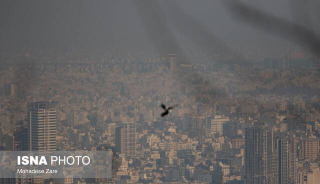 ۵ راهکار تقویت سیستم ایمنی بدن در روزهای آلوده