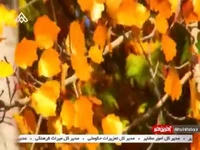 کلیپ محلی «انتظار» با نوای خوش موسیقی قشقایی