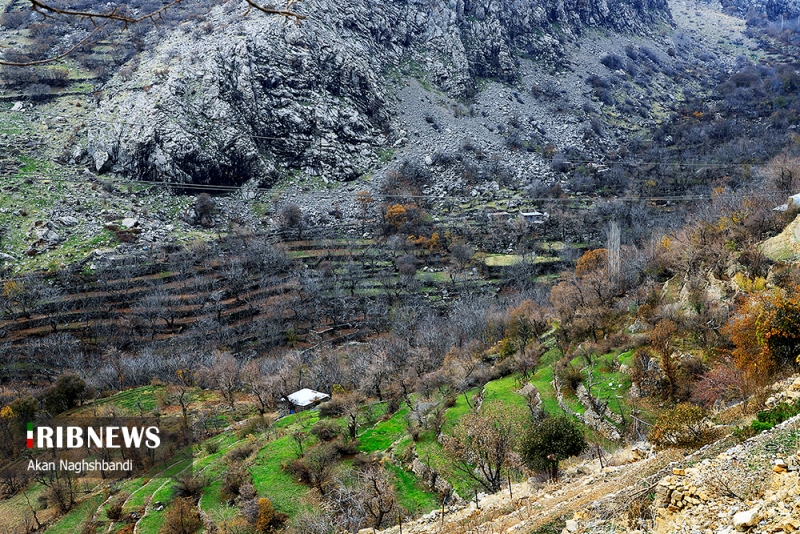 طبیعت زمستانی منطقه اورامانات کردستان