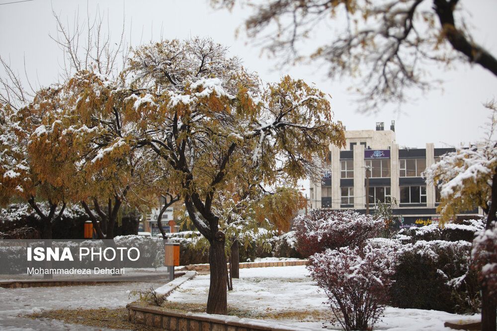 عکس/ اولین برف زمستانی شیراز