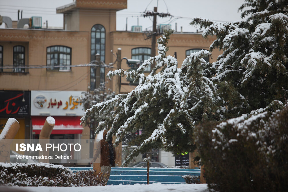 عکس/ اولین برف زمستانی شیراز