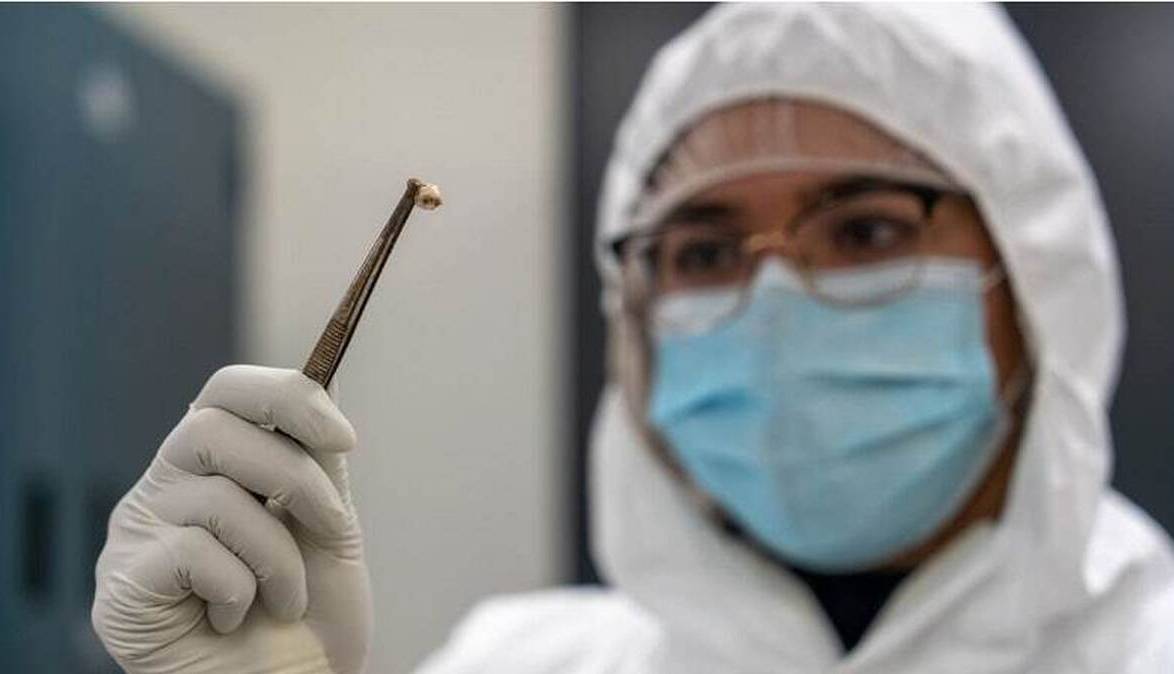 ۷ راز علمی که توسط DNA باستانی کشف شد