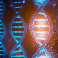 رمز گشایی “کد مکانیکی” DNA توسط دانشمندان
