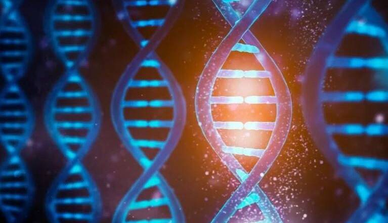 رمز گشایی “کد مکانیکی” DNA توسط دانشمندان