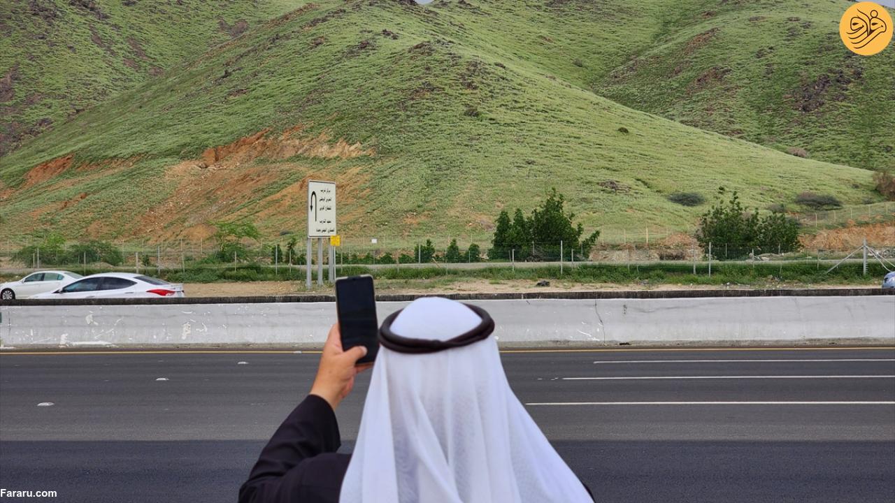 سرسبز شدن شگفت انگیز بیابان‌های مکه