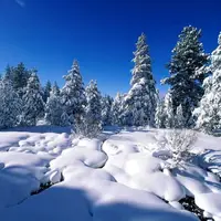 تصاویری از قدرت زمستان در سراسر کره زمین