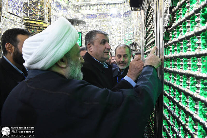 عکس/ حضور رئیس سازمان انرژی اتمی در مراسم غبارروبی حرم سیدالکریم