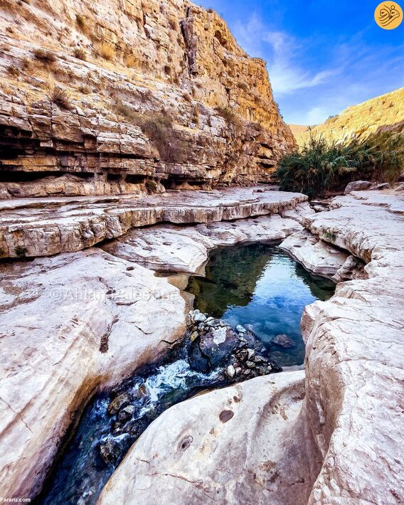 با این دو زن فلسطین را زیبا ببینید