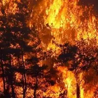 آتش‌سوزی مجدد در جنگل‌های ترکیه