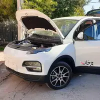 نمونه‌های اولیه خودروی برقی «دایون» وارد ایران شد!