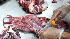 استخوان لای زخم بازار گوشت