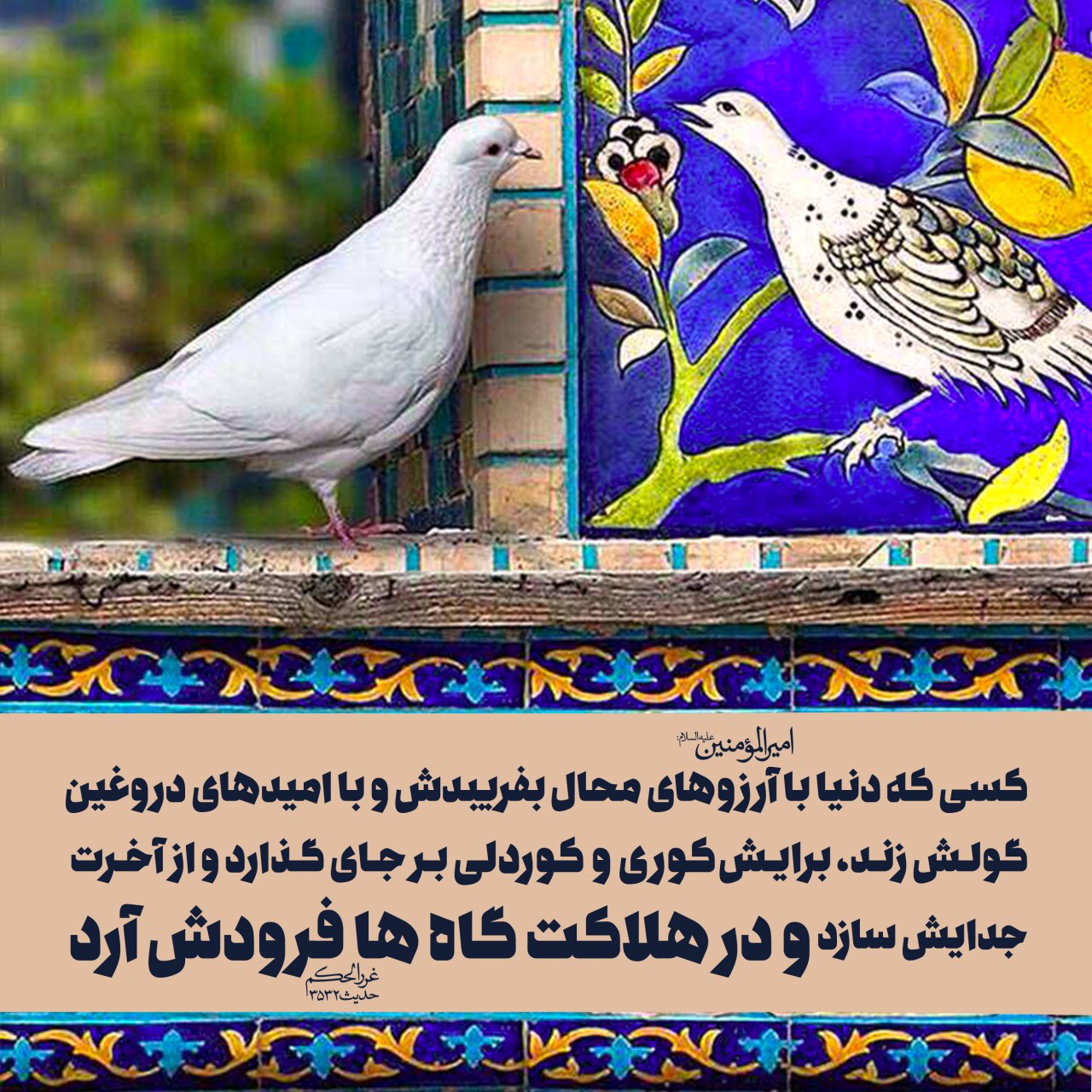 حکمت/ آرزوهای محال دنیوی
