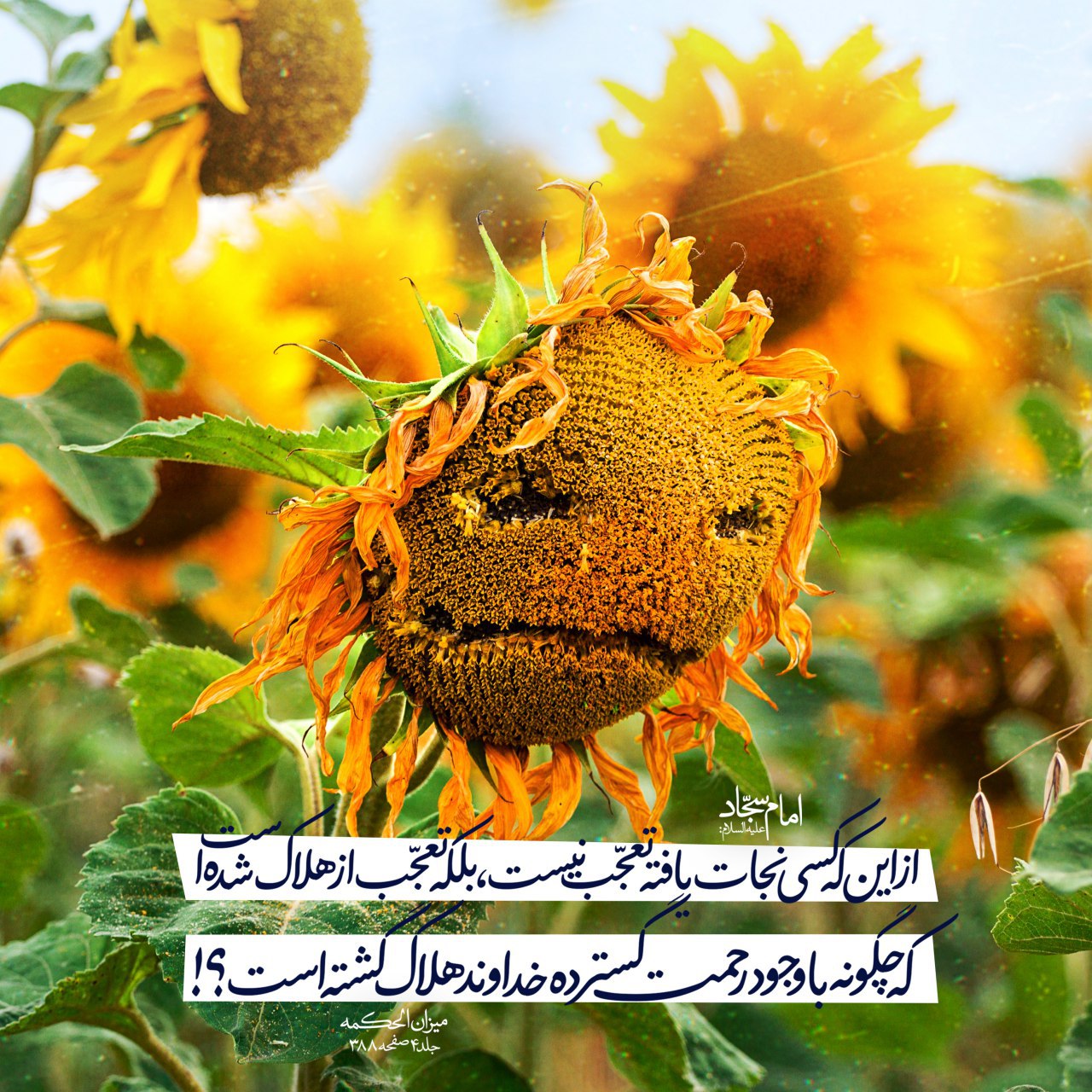 حکمت/ چگونه با وجود رحمت گسترده خداوند هلاک گشته است؟