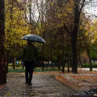 برف و باران پنج روز آینده مهمان استان فارس است