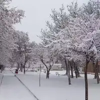 بارش برف در مناطق مختلف آذربایجان شرقی