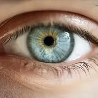 ویدئو شگفت انگیز از نوع عملکرد مردمک چشم