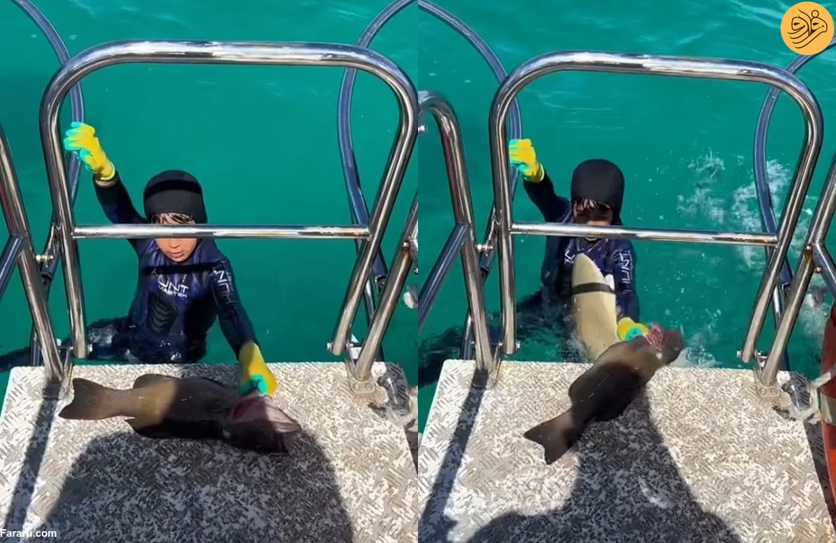 حمله هولناک یک کوسه به کودک ماهیگیر