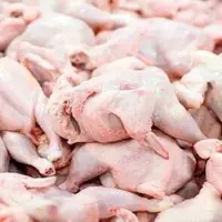جهادکشاورزی: قیمت مرغ تا پایان سال تغییر نمی‌کند
