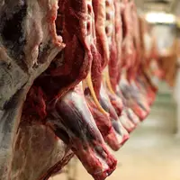 واردات گوشت گرم با قیمت کیلویی 180 هزار تومان