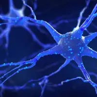 درمان سلول‌های عصبی آسیب‌دیده با نانوذرات مغناطیسی