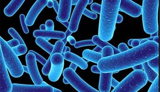 میکروب‌های روده بدون اینکه بدانیم در حال تغییر دادن ما هستند