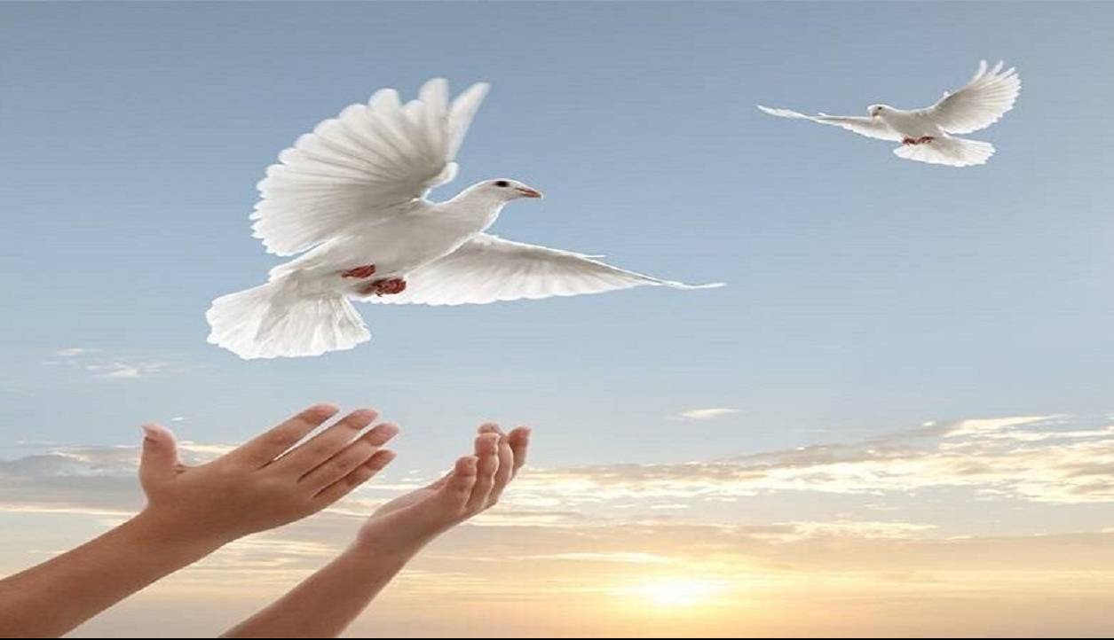 ۳۵۹ زندانی جرایم غیرعمد به آغوش خانواده بازگشتند