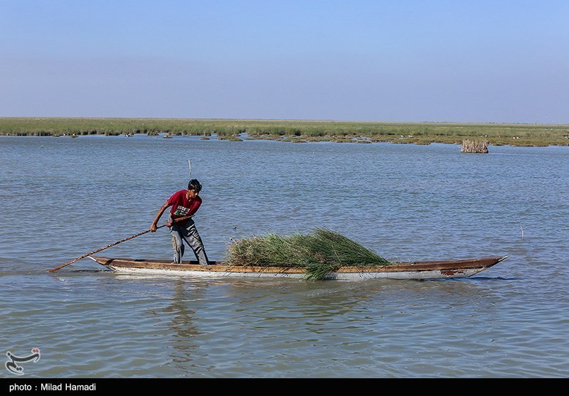 عکس/ تالاب شادگان؛ زندگی میان آب‌ها و قایق‌ها