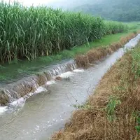 افتتاح ۴۲۰۰ متر کانال آب بر کشاورزی در لرستان 