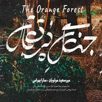 نشست‌ خبری فیلم «درخت پرتقال» در دومین روز جشنواره